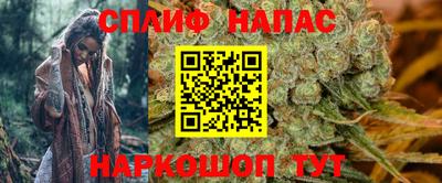 spice Гусиноозёрск