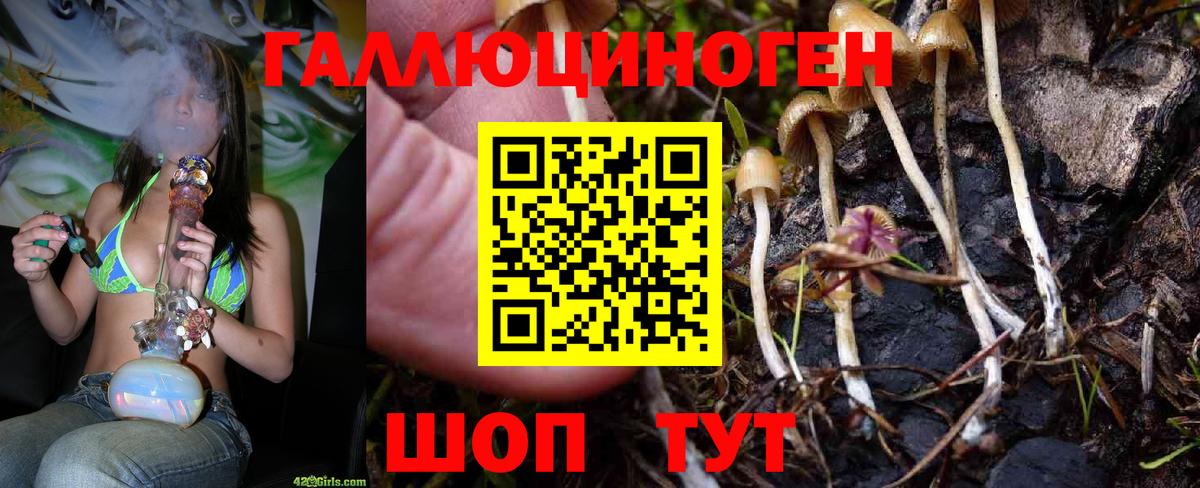 Псилоцибиновые грибы мухоморы  Вход с VPN  Набережные Челны  Галлюциногенные грибы мухоморы 